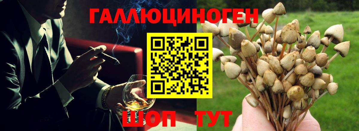 Галлюциногенные грибы Magic Shrooms  Вход с VPN  Юрга 